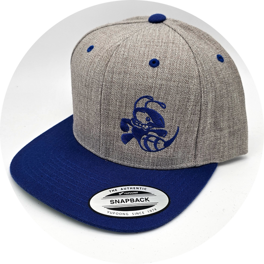 Discraft Two Tone Snapback Cap with blue Buzzz logo - Grey/Blue - KJ Disc