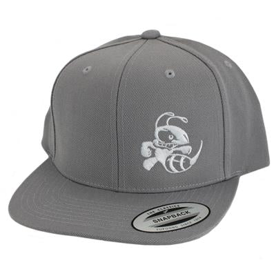 Discraft Snapback Cap with white Buzzz logo - Grey