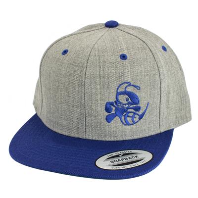 Discraft Two Tone Snapback Cap with blue Buzzz logo - Grey/Blue